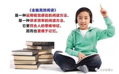 大脑开发真的可行吗？——全脑应用开发与训练的科学真相